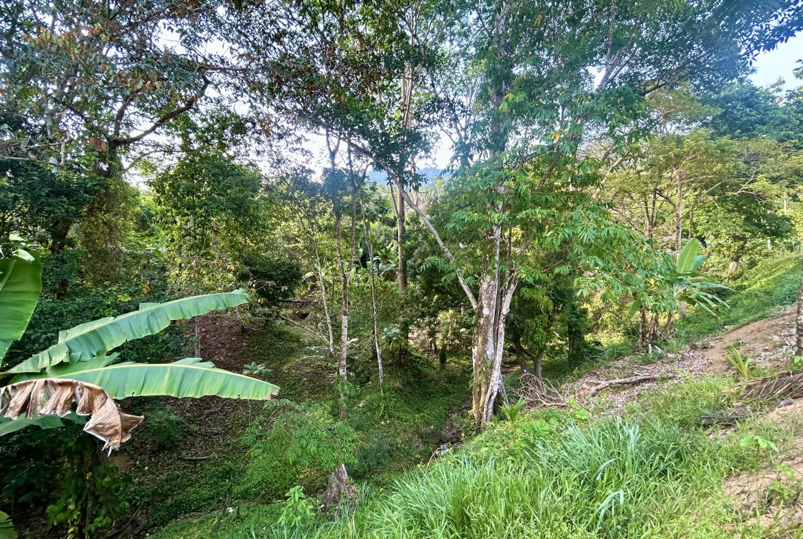 LUXURIOUS PRE-CONSTRUCTION 3-BEDROOM HOME IN DESIRED PLAYA HERMOSA – 0.57 ACRES